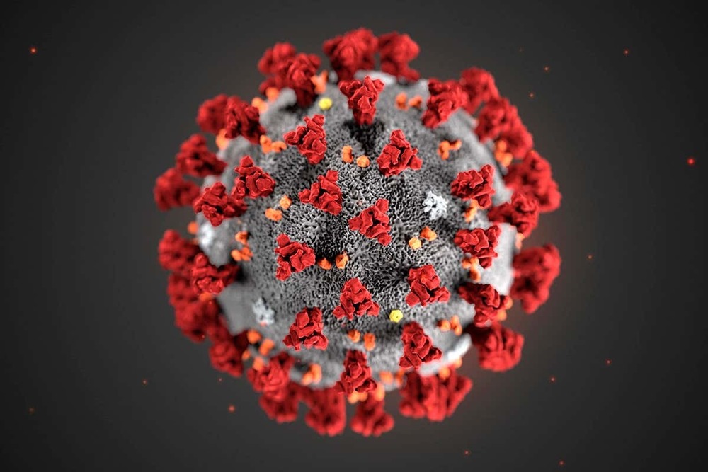 COVID-19 virus magnified