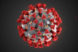 Updates on Covid-19 "coronavirus"