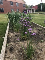 School Garden Update from Island Institute Fellow Ellie Mason