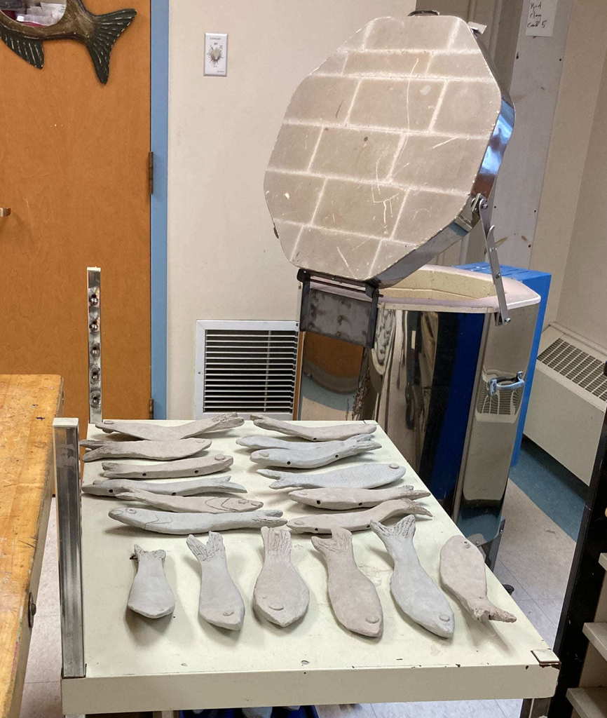 Alewives ready for the kiln