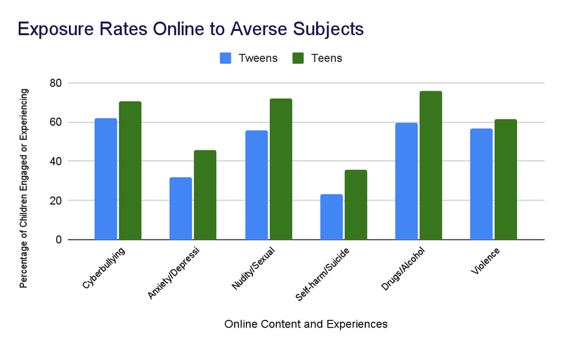 internet safety statistics